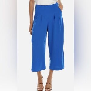 Ted Baker Zettah Pleated Culottes Bright Blue US size 6/ted size 2